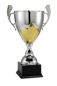 Cupe Sportive LX 010